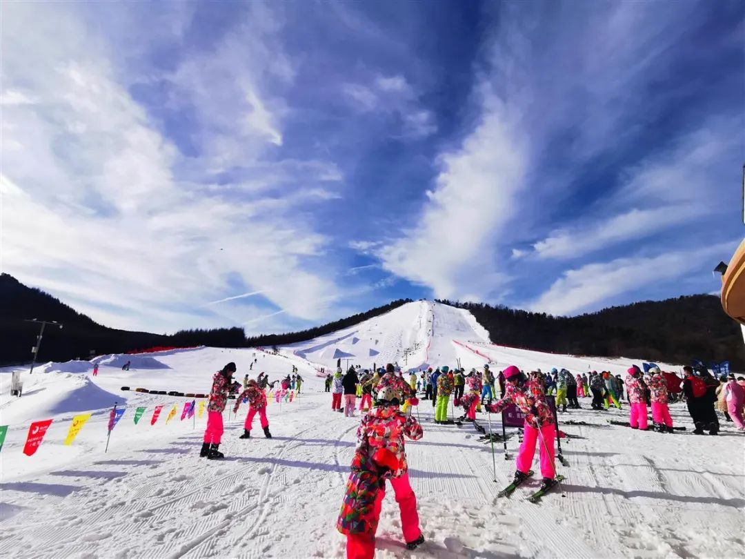 2022神农架中和国际滑雪场玩乐攻略,每条滑道旁边都有条魔毯，像...【去哪儿攻略】
